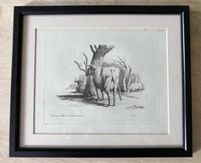Cattle cows antique for sale  CAMBRIDGE