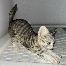 cute kittens for sale cute kittens for sale BIRMINGHAM