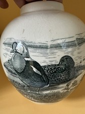 masons ginger jar for sale  LINCOLN