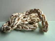 Vintage tribal cowrie for sale  SHAFTESBURY