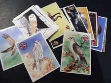 Images cartes serie d'occasion  Senones