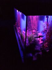 Fish tank for sale  NEWCASTLE UPON TYNE