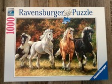 Rabensburger galloping horses for sale  Chehalis
