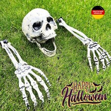 Skelett teile knochen gebraucht kaufen Skelett teile knochen gebraucht kaufen  Frankfurt (Oder)