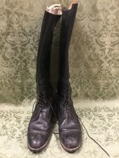 Cavallo 7.5 tall for sale  Lindstrom
