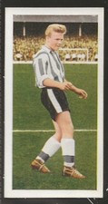Chix famous football for sale  COLNE