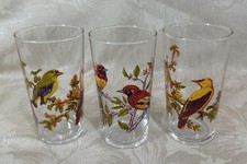 1960s exotic birds for sale  SUDBURY
