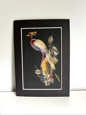 feathered mexican folk art for sale  Furlong