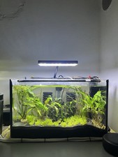 35l aquarium perfekt gebraucht kaufen  Spremberg