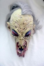 lichtmaske gebraucht kaufen  Oldenburg (Oldenburg)