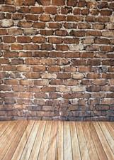 5x2 fotohintergrund foto gebraucht kaufen  Wennigsen