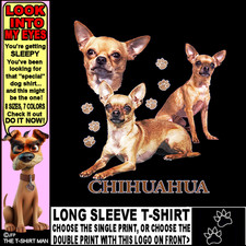 Beautiful chihuahua dog d'occasion  Expédié en Belgium