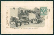 carretto asini usato  Gambolo