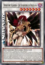 Domatore alanera joe usato  Ravenna