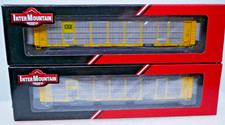 2 x Fox Valley Intermountain N CSX TTGX carro rack automático bi-nível 993086 e 979842, usado comprar usado 2 x Fox Valley Intermountain N CSX TTGX carro rack automático bi-nível 993086 e 979842, usado comprar usado  Enviando para Brazil