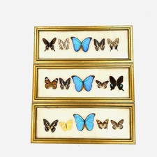 Lot vintage 1960s for sale  Bradenton