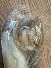 Dried pampas grass for sale  Downers Grove