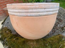 Indoor terracotta planter for sale  DARLINGTON