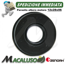 Paraolio albero motore usato  San Mauro Castelverde