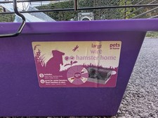 Hamster rat gerbil for sale Hamster rat gerbil for sale  TROWBRIDGE