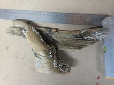 Unique barnacled driftwood for sale  OLDBURY