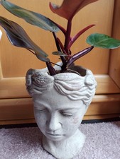Besonderer blumentopf frauen gebraucht kaufen  Gauting