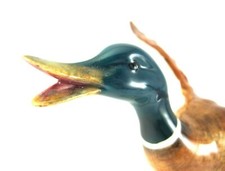 Beswick england duck for sale  Albuquerque