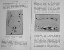 Old antique print for sale  UK