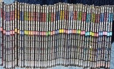 LOTE COMPLETO DE LONA PERDIDA SAINT SEIYA 50 MANGÁS QUADRINHOS IVREA ESPANHOL ESPAÑOL comprar usado  Enviando para Brazil