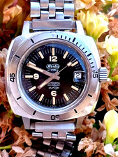 Wertex watch skin usato  Catania