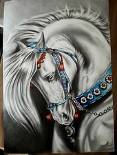 Disegno originale cavallo usato  Vallefoglia