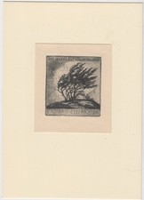 Riginal grafik exlibris gebraucht kaufen  Leipzig