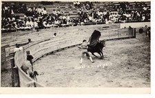 Pocztówka RPPC Byk walczący Meksyk ok. 1910-1920s Gaomi A Enunpa -8329 na sprzedaż Pocztówka RPPC Byk walczący Meksyk ok. 1910-1920s Gaomi A Enunpa -8329 na sprzedaż  Wysyłka do Poland