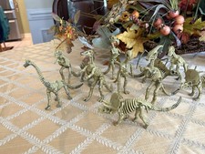 t rex skeleton for sale  Myrtle Beach