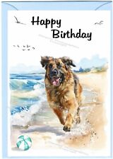 Biglietto compleanno cane usato  Spedire a Italy