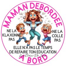 Stickers humoristique voiture d'occasion  Bordères-sur-l'Échez