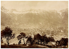 Wurthle spinnhirn österreich d'occasion Wurthle spinnhirn österreich d'occasion  Pagny-sur-Moselle