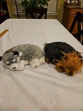 Perfect petzzz alaskan for sale  Lynn Haven