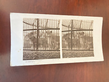 Vintage stereograph countrysid for sale  PORT TALBOT