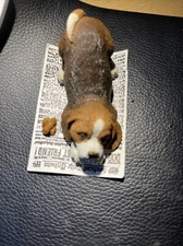 Sandicast 3” boneco Beagle no jornal com cocô “Pesky Peepers” mini estatueta de cachorro comprar usado  Enviando para Brazil