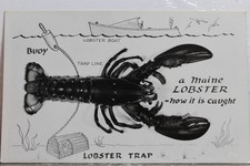 lobster trap for sale lobster trap for sale Wilmington