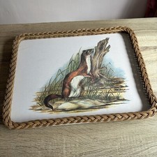 Foremost stoat wicker for sale  CHELMSFORD