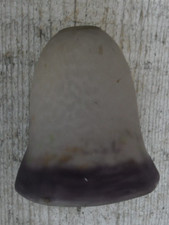 Ancienne tulipe lampe d'occasion  Saint-Chinian