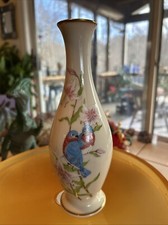 Blue love birds for sale  Marshall