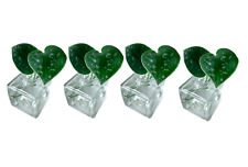 Square hydroponic vases for sale  WATFORD