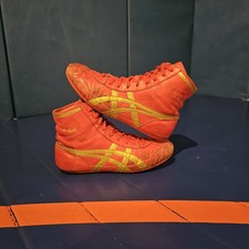 Dan gable ascics for sale  Lake Villa