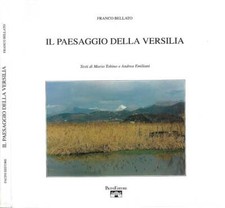 Paesaggio della versilia. usato  Italia