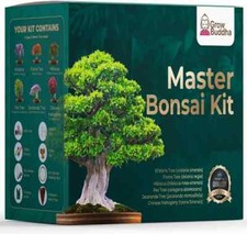 Grow buddha master for sale  ENFIELD