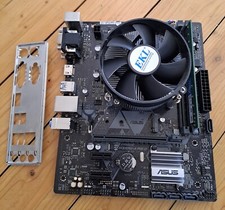 Mainboard asus prime gebraucht kaufen  Walldürn