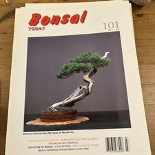 Bonsai today issue for sale  ANDOVER